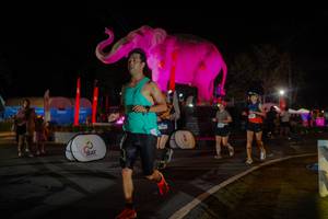 BIB: 
                            <button type="button" onclick="openModal(26552175)" class="btn btn-primary btn-sm float-right btn-popup" data-toggle="modal" data-target=".modal-high-quality">
                        <i class="fas fa-shopping-cart"></i> Add to Cart
                    </button>
                                            <button type="button" onclick="isThisMe(26552175, true)" class="btn btn-success btn-sm float-right btn-popup btn-isme hidden" data-toggle="tooltip" data-placement="bottom" title="นี่คือรูปของคุณใช่ไหม คลิกที่นี่เพื่อเอาเข้าอัลบั้ม">
                        <i class="fas fa-plus"></i> Add to album
                    </button>
                    <button type="button" onclick="isThisMe(26552175, false)" class="btn btn-warning btn-sm float-right btn-popup btn-isnotme hidden">
                        <i class="fas fa-ban"></i> Remove from album
                    </button>